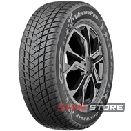 GT Radial WinterPro2 evo 205/60 R16 96H XL