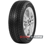 Davanti Wintoura 205/60 R16 96H