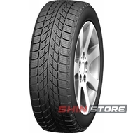 Doublestar WINTERKING DW09 235/55 R17 99T