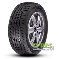 Roadx RXFrost WH01 205/55 R16 91H