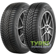 Cooper Winter 255/35 R19 96W XL
