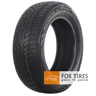 Doublestar WINTERKING DW08 215/55 R17 98T XL