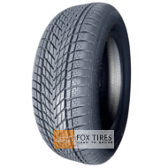 Dunlop Winter 205/55 R16 91H