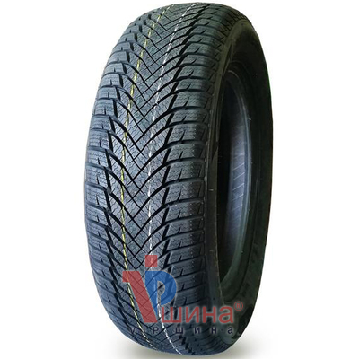 Minerva Frostrack HP 205/55 R16 91H