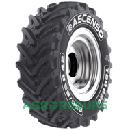 Ascenso TDR 650 (с/х) 540/65 R28 149D