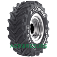 Ascenso XLR 880 (с/х) 710/70 R42 173D