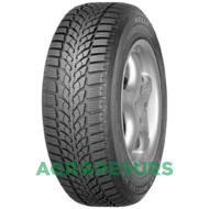 Kelly Winter HP 195/65 R15 91H