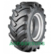 Tianli  R1W (c/х) 540/65 R24 143D/140A8