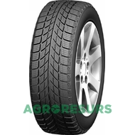 Doublestar WINTERKING DW09 215/45 R17 91H XL