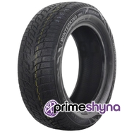 Doublestar WINTERKING DW08 215/60 R16 95T