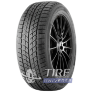 Doublestar WINTERKING DW09 215/45 R17 91H XL