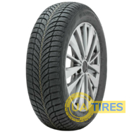 Roadstone Eurovis Alpine 2 195/65 R15 95T XL