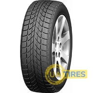 Doublestar WINTERKING DW09 235/55 R20 102H