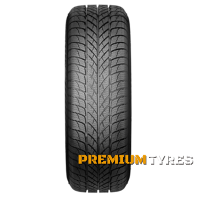 Paxaro INVERNO 225/45 R18 95V XL