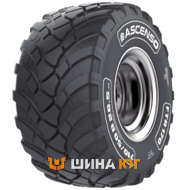 Ascenso FTR 170 (с/х) 500/60 R22.5 155D