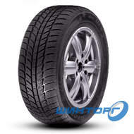 Roadx RXFrost WH01 205/55 R16 91H