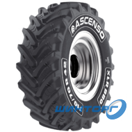 Ascenso XLR 880 (с/х) 800/70 R38 178D