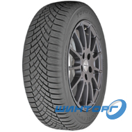 Toyo Observe EWS1 225/45 R17 94V XL