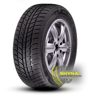 Roadx RXFrost WH01 205/55 R16 91H