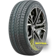 Doublestar WINTERKING DW16 205/55 R17 95T XL