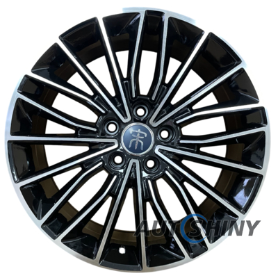 ZF FBX173 8x19 5x120 ET50 DIA64.1 BMF