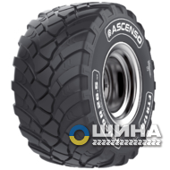 Ascenso FTR 170 (с/х) 560/60 R22.5 165D