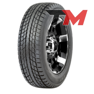 CST SNOW TRAC SCS1 225/55 R19 99T