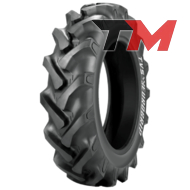 TVS TR18 (с/х) 8.30 R20 PR6 TT