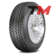 Landsail Winter Lander 205/50 R17 93H XL