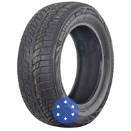 Doublestar WINTERKING DW08 195/55 R16 87H