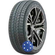 Doublestar WINTERKING DW16 205/55 R17 95T XL