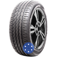 Delmax Perform Pro 245/45 R18 100W XL