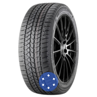 Doublestar WINTERKING DW02 255/45 R19 104T XL