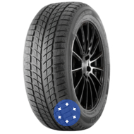Doublestar WINTERKING DW09 235/55 R17 99T