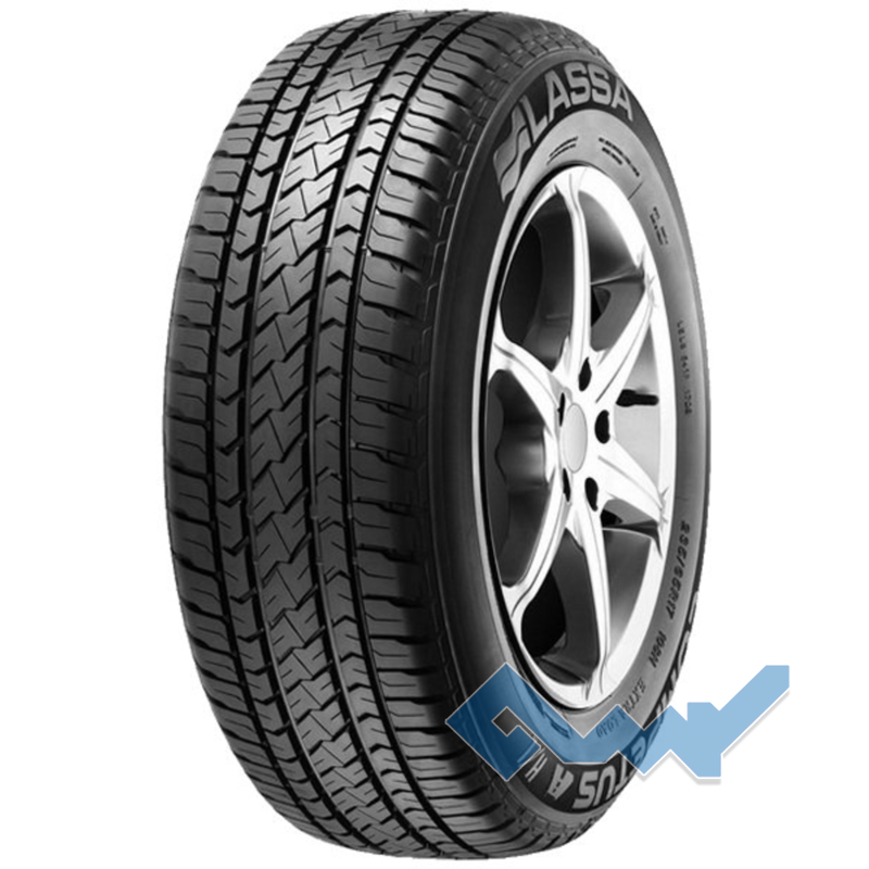 Lassa Competus H/L