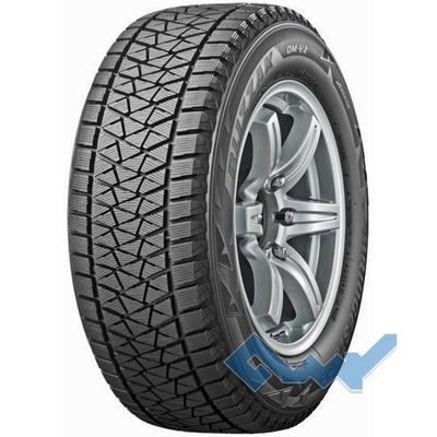 Bridgestone Blizzak DM-V2