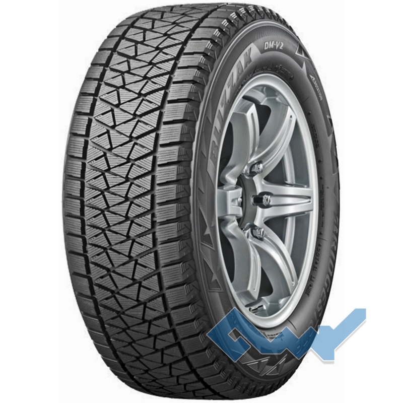 Bridgestone Blizzak DM-V2