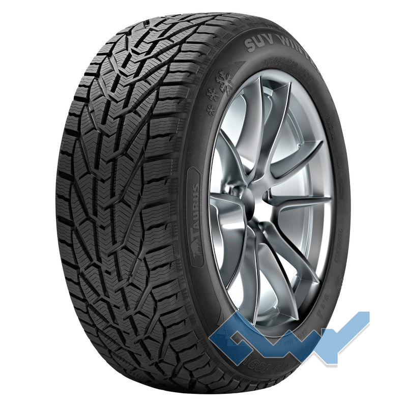 Taurus SUV Winter
