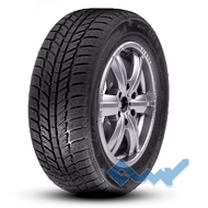 Roadx RXFrost WH01 205/55 R16 91H
