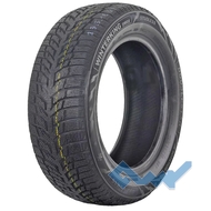 Doublestar WINTERKING DW08 225/55 R16 95H