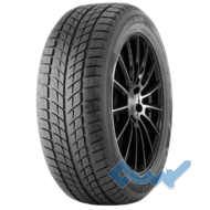 Doublestar WINTERKING DW09 215/45 R17 91H XL