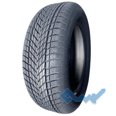 Dunlop Winter
