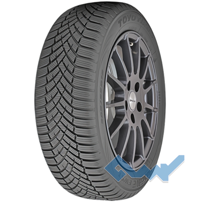 Toyo Observe EWS1