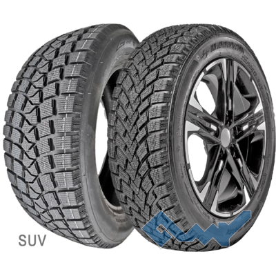 Haida Winter HD617