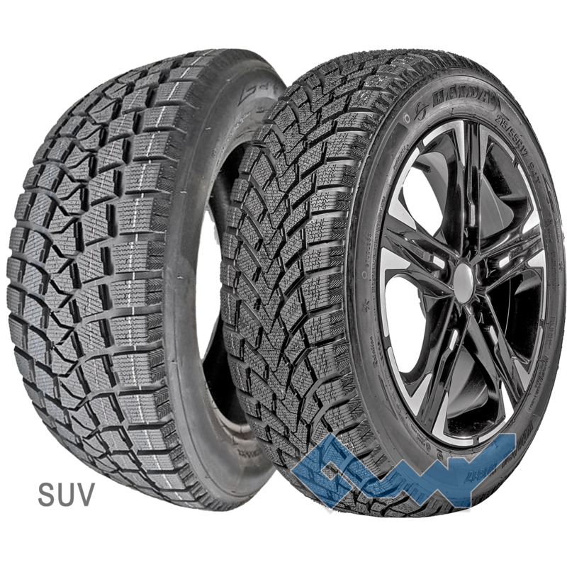 Haida Winter HD617