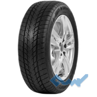 Davanti Wintoura 205/60 R16 96H